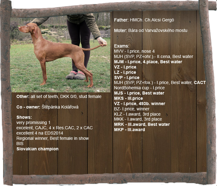 Frea profil aj