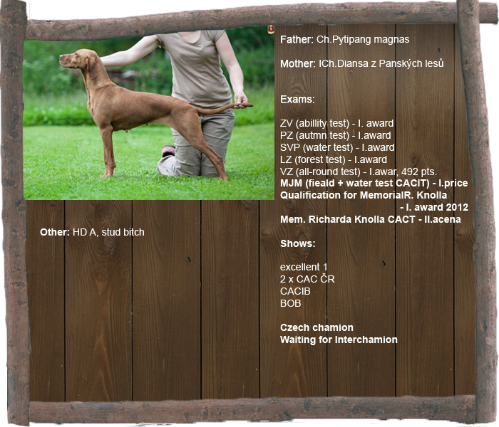 cuba profil1 aj