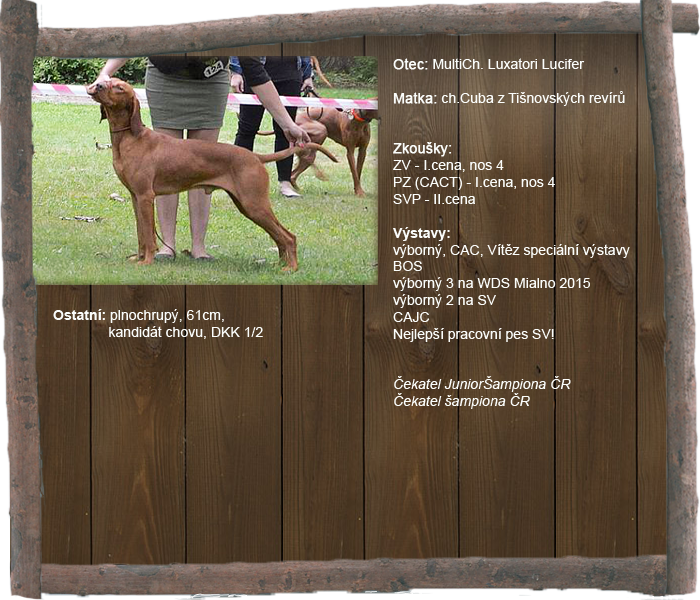 gate profil1