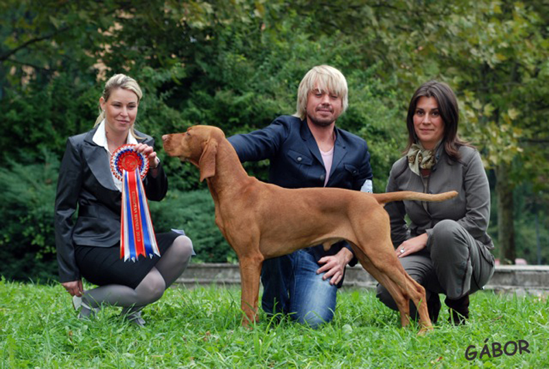 CELJE EUROPEAN DOG SHOW-SLOVENIA-2010-10-01b